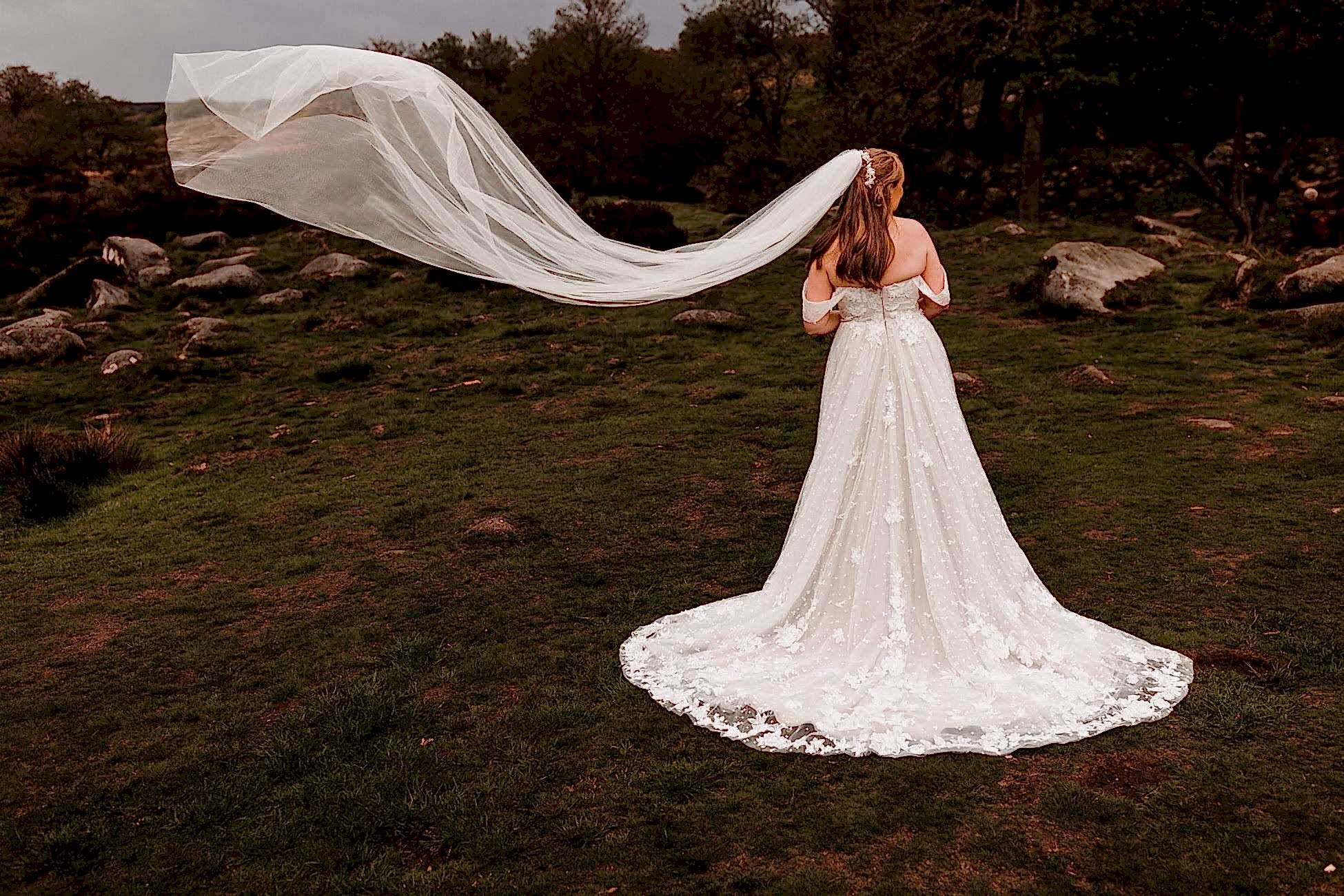 The Maynard wedding photo