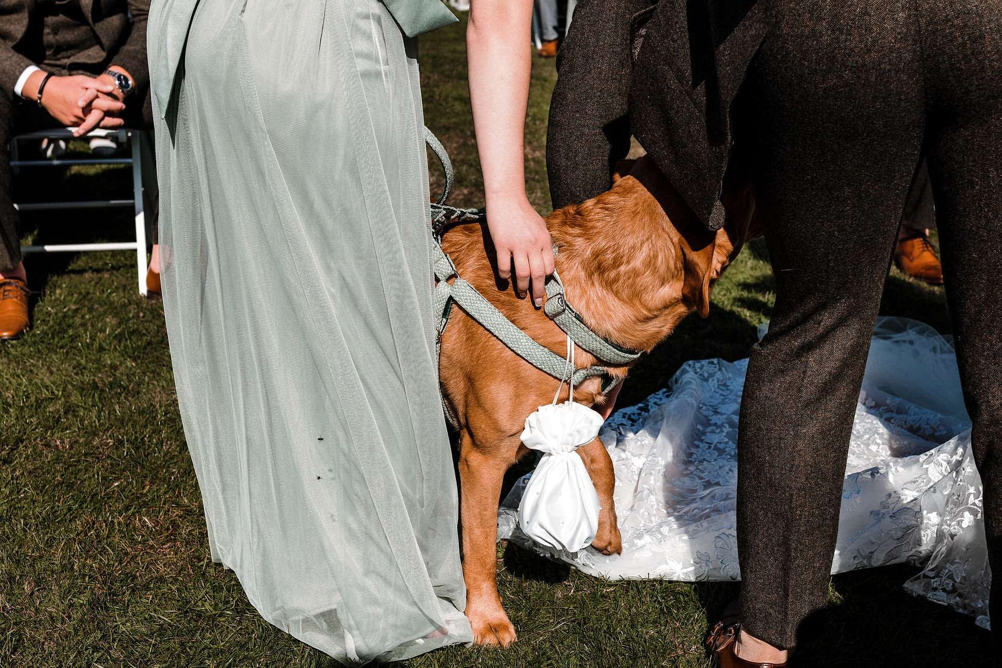 Birtsmorton Court wedding photo